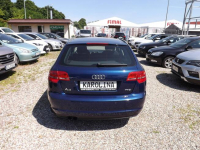 Audi A3 Słupsk - zdjęcie 8