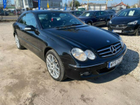 Mercedes CLK 200 Piękna czarna bestia:) Kanie - zdjęcie 3