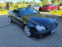 CLK 200 KOMPRESOR Avantgarde Słupsk - zdjęcie 10