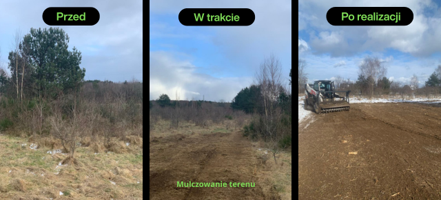 Czyszczenie działki i przygotowanie terenu pod budowę  -DRZEWUS Gdańsk - zdjęcie 7