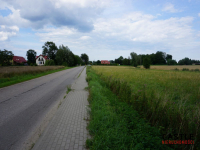 Działka 6303 m² | Bogatka koło Gdańska Bogatka - zdjęcie 8