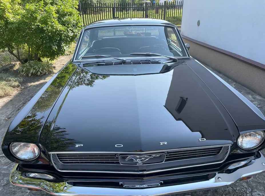 Ford Mustang 1966 – Legenda w Perfekcyjnym Wydaniu! Oryginał Radom - zdjęcie 2