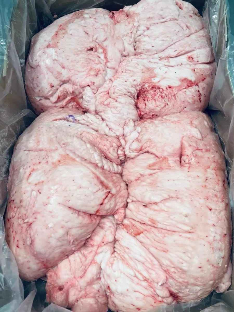 HALAL LAMB TAIL FAT FOR SALE Bemowo - zdjęcie 1