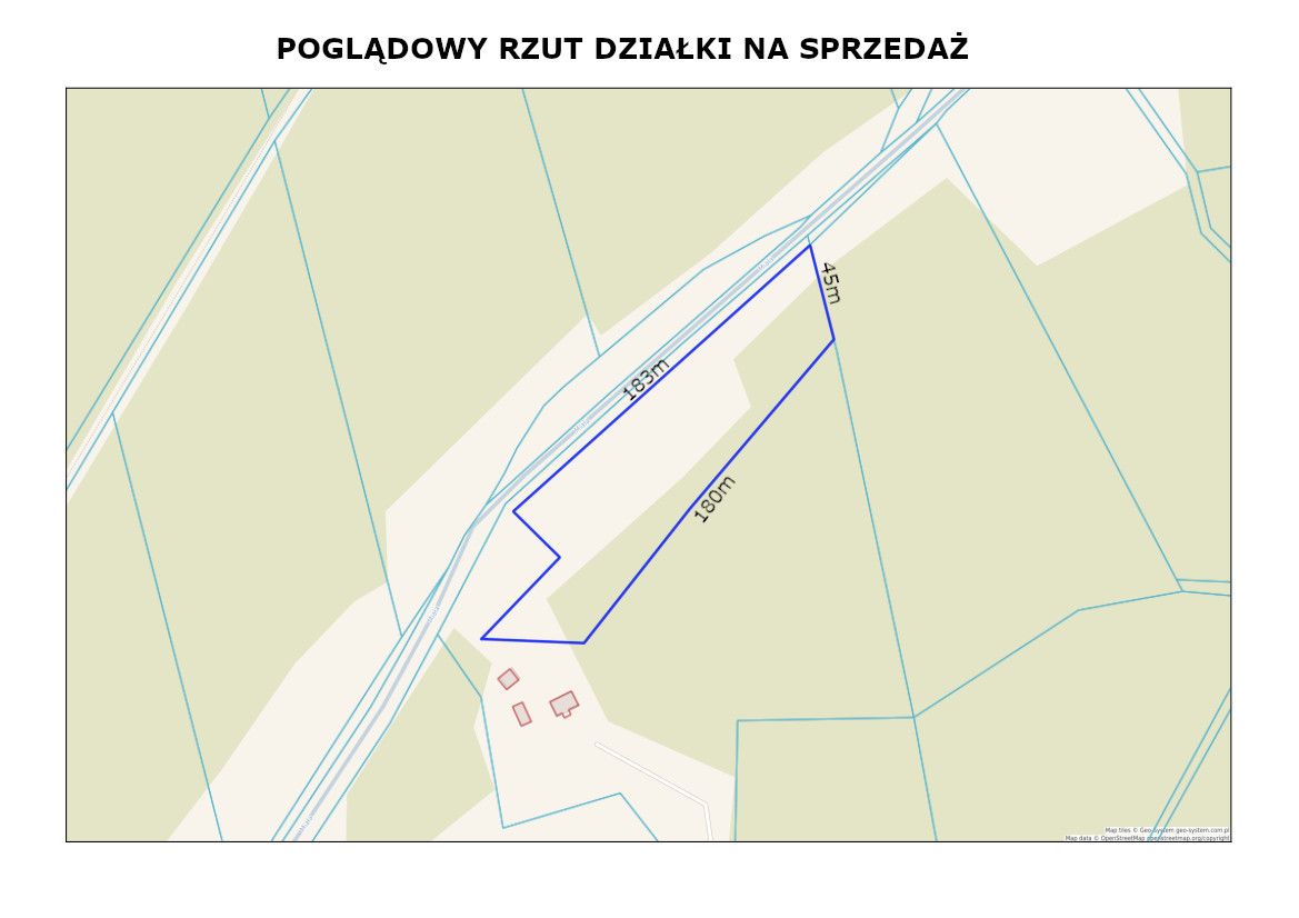 Rola w Puszczy Noteckiej. Marylin - zdjęcie 1