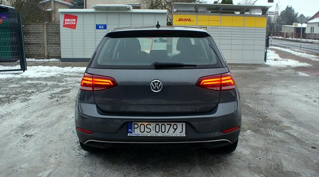 Volkswagen Golf VII Ostrów Wielkopolski - zdjęcie 4