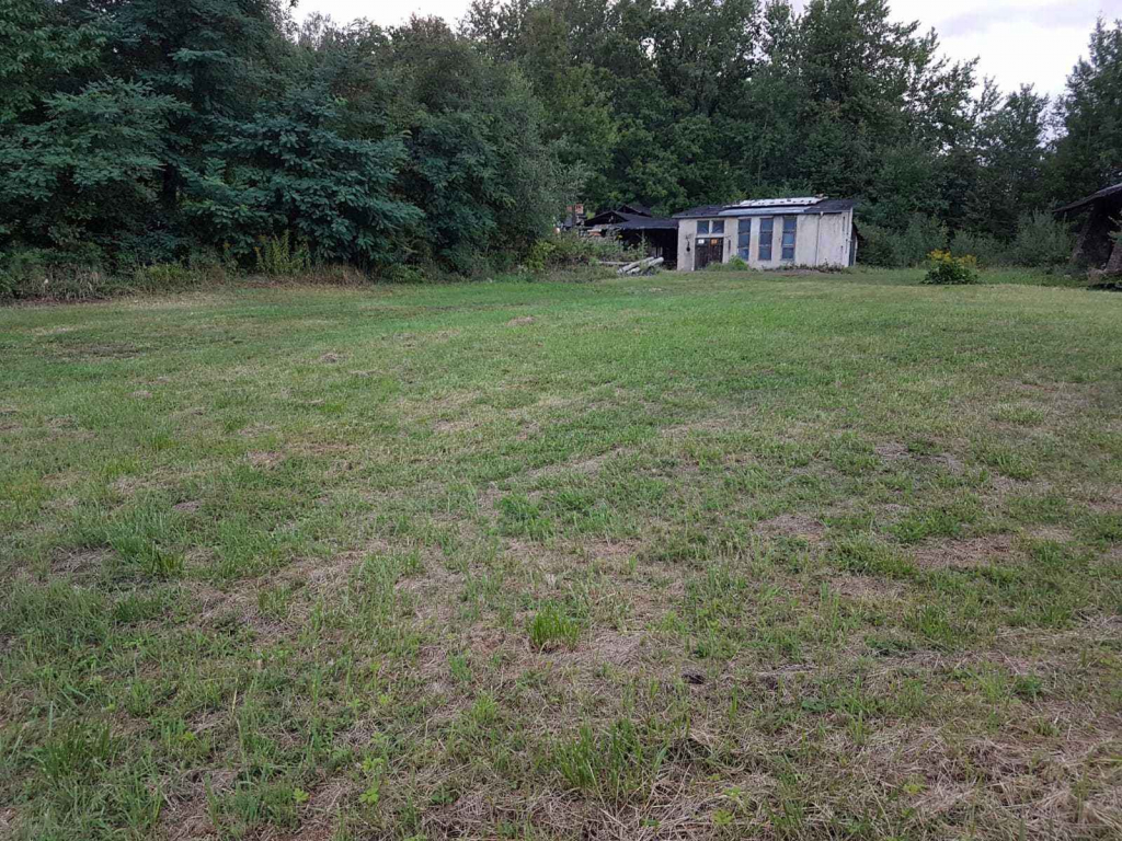 Dz. Inwestycyjna (31622 m2) ze starą cegielnią (Kościelnik) Kościelnik - zdjęcie 7