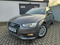 Audi A3 1.4 TFSi 125KM xenon BEZWYPADEK 5 drzwi ZADBANY BDB stan