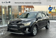 Kia Stonic WYPRZEDAŻ/Wersja L / FV23% /demo dealera/serwisowany w ASO