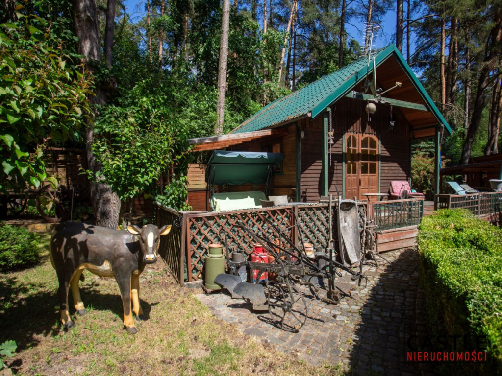 Dom przy lesie | 1221 m² działki | 2 domki Borkowo - zdjęcie 11