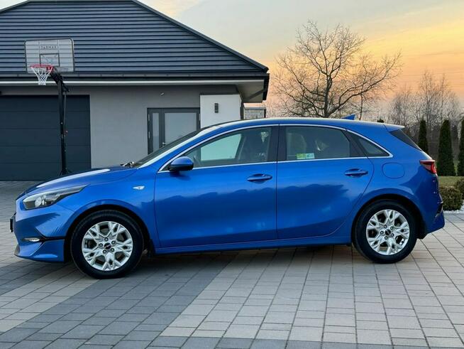 KIA Cee'd 1.5 T-GDI 160KM 7DCT M Salon PL Automat Zambrów - zdjęcie 11