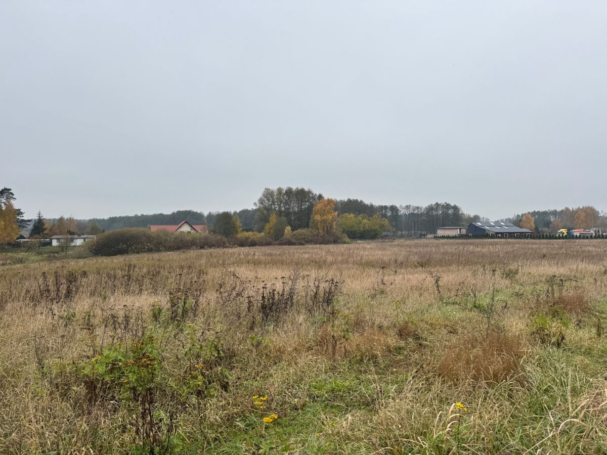 Grunt inwestycyjny. Idealny pod hale, biurowiec Sulnówko - zdjęcie 11