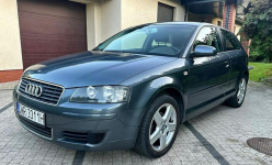 Audi A3 8p 1.6MPI 101KM Bardzo Ładna Prywatna Ważne Opłaty Wrocław - zdjęcie 11