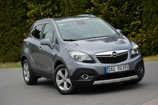 Innovation bi-Xenon Ledy Navi Skóry Grzana Kierownica Parktr. Aso Opel Ostrów Mazowiecka - zdjęcie 2