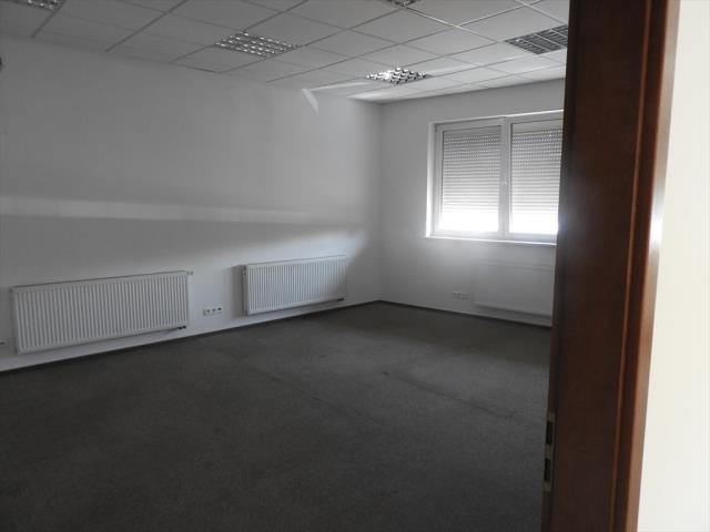 Lokal na wynajem Warszawa Wola Wola - zdjęcie 3