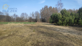 Sprzedam działki budowlano-usługowe w Lubiejewie Lubiejew - zdjęcie 6