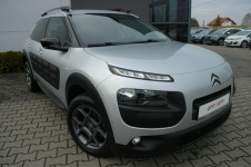 Citroen C4 Cactus Kamera,Nwaigacja Dębica - zdjęcie 9