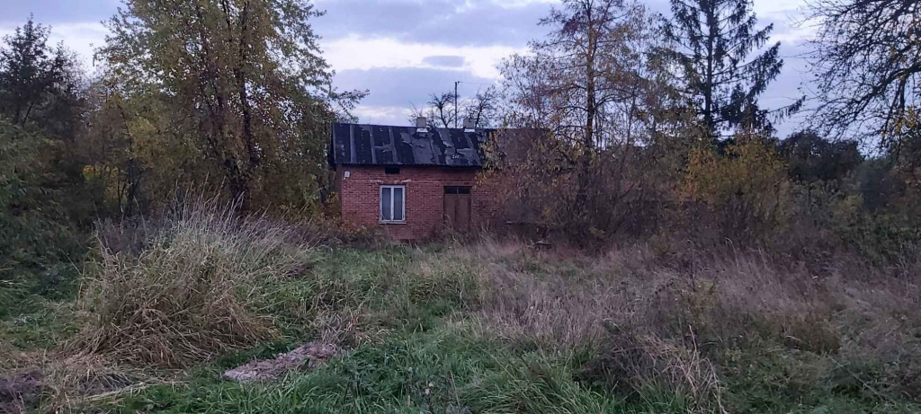 Gospodarstwo rolne Przymiłów - zdjęcie 3