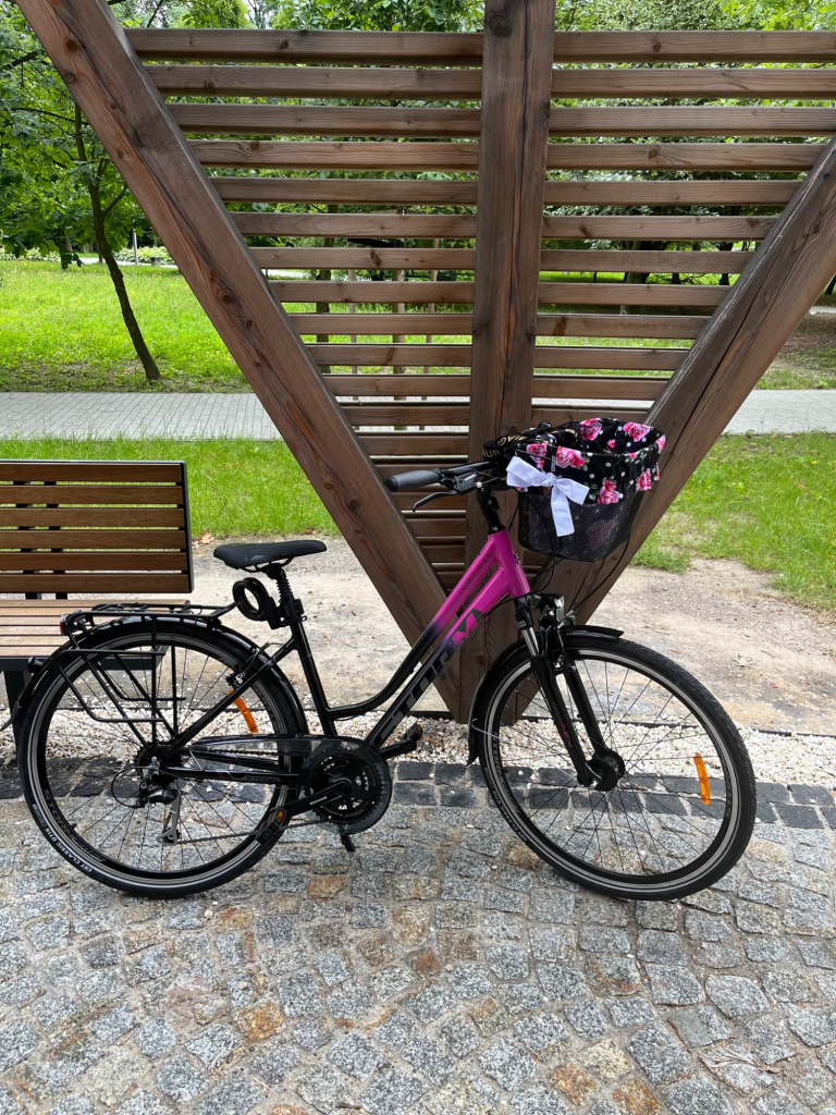 Rower Damski Storm Trekking Żory - zdjęcie 2