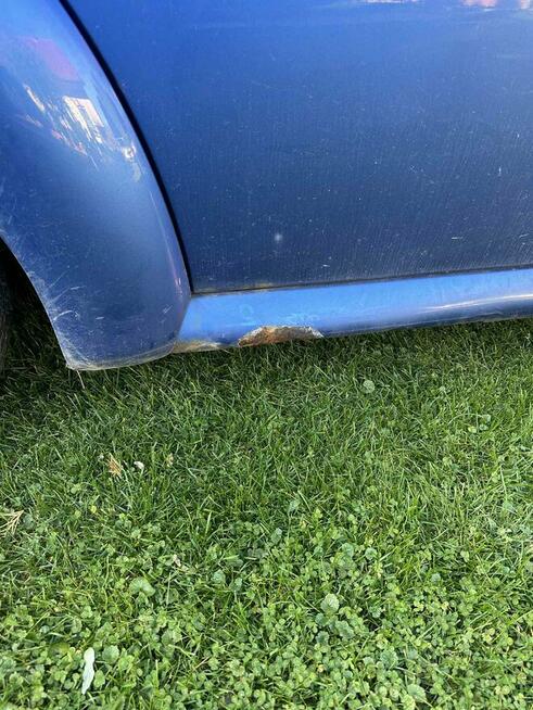 New Beetle Puławy - zdjęcie 9