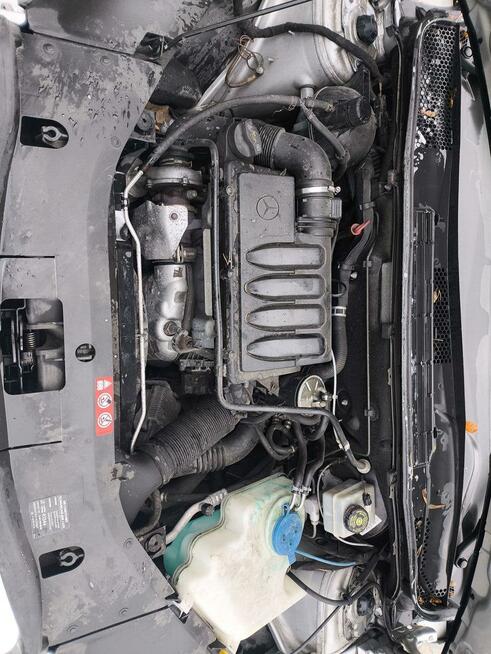 Sprzedam Marki - zdjęcie 12