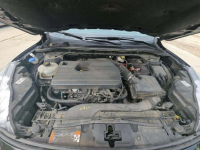 Ford Kuga TITANIUM / AWD / niski przebieg Cieszyn - zdjęcie 10