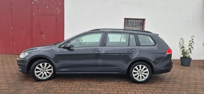 Volkswagen Golf Paproć - zdjęcie 4