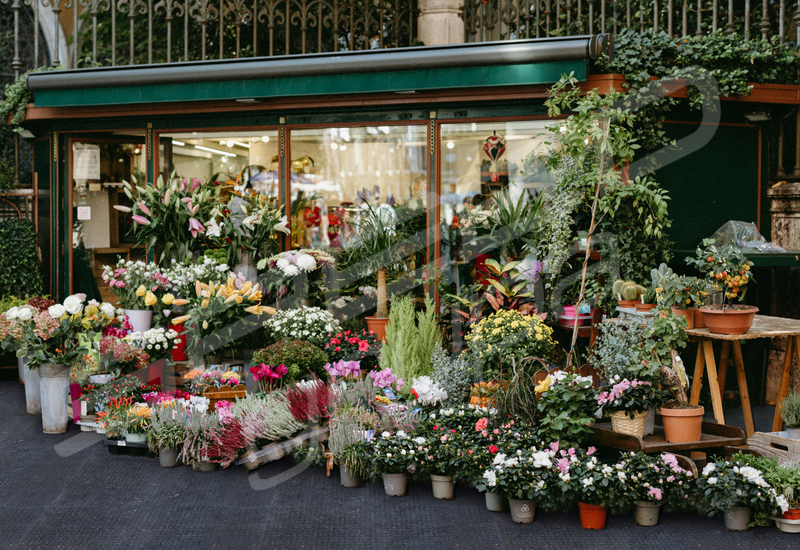 Płyty modułowe SPEED modules 120x80x3 Białołęka - zdjęcie 8