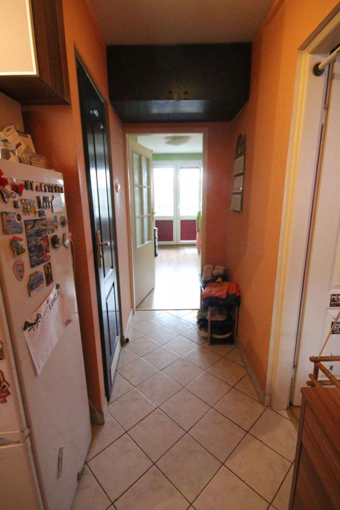 2pok, 35met, okolice Jodłowej PEŁEN ROZKŁAD/PIWNICA (Wrocław) Stare Miasto - zdjęcie 8