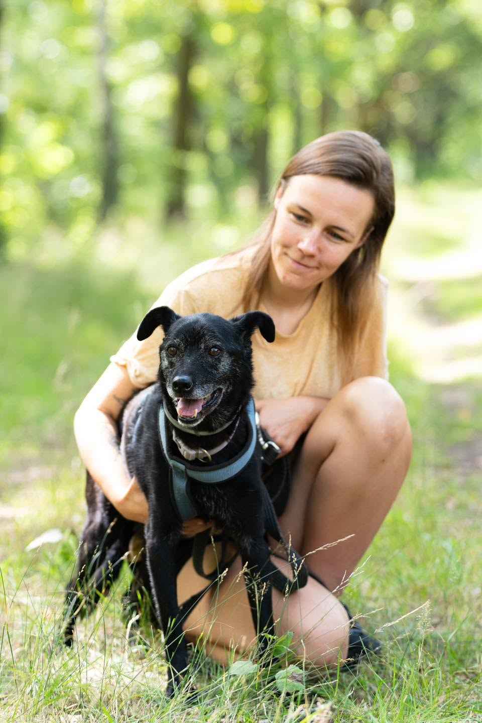 Devi i Devo - łagodne, poczciwe psiaki szukają wspólnego domu! Olsztyn - zdjęcie 4