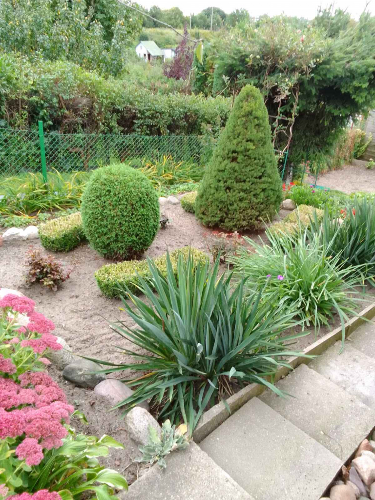 Działka rekreacyjna ROD 🍓 Iława Iława - zdjęcie 9