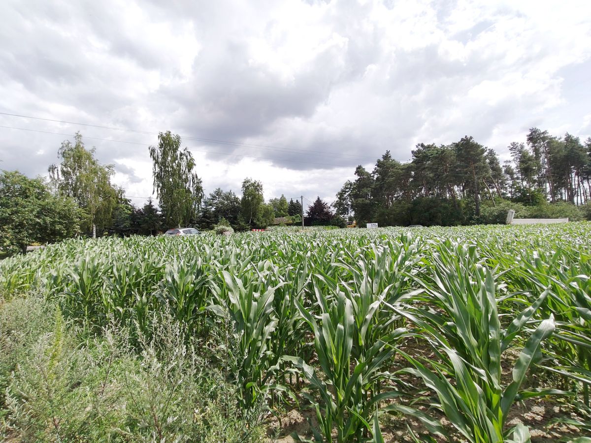 Działka z WZ, magazynowo - biurowe. Wysoczka - zdjęcie 4