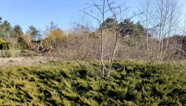 Działka nad jeziorem. Strykowo - zdjęcie 10