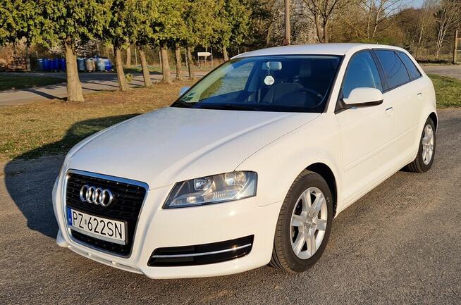 Audi A3 Zalasewo - zdjęcie 1