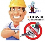 Złota rączka Ludwik Opole