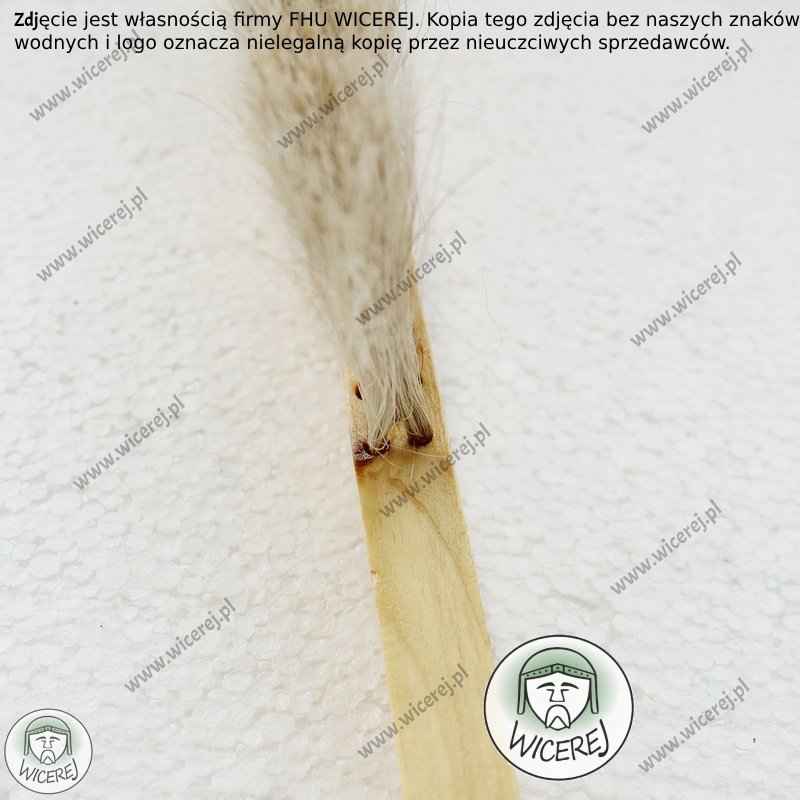 Maxi Zmiotka Duża 2 rzędowa naturalne włosie miotełka Jaśliska - zdjęcie 6