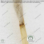 Maxi Zmiotka Duża 2 rzędowa naturalne włosie miotełka Jaśliska - zdjęcie 6