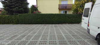 usługi ogrodnicze 731955365 Nowy Sącz - zdjęcie 2