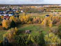 Kameralna okolica | Krakowska | WZ | Zieleń Rzeszów - zdjęcie 3