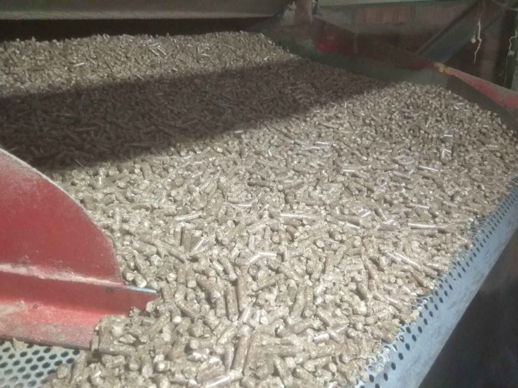 Wysłodki buraczane granulowane Dąbrówki - zdjęcie 1