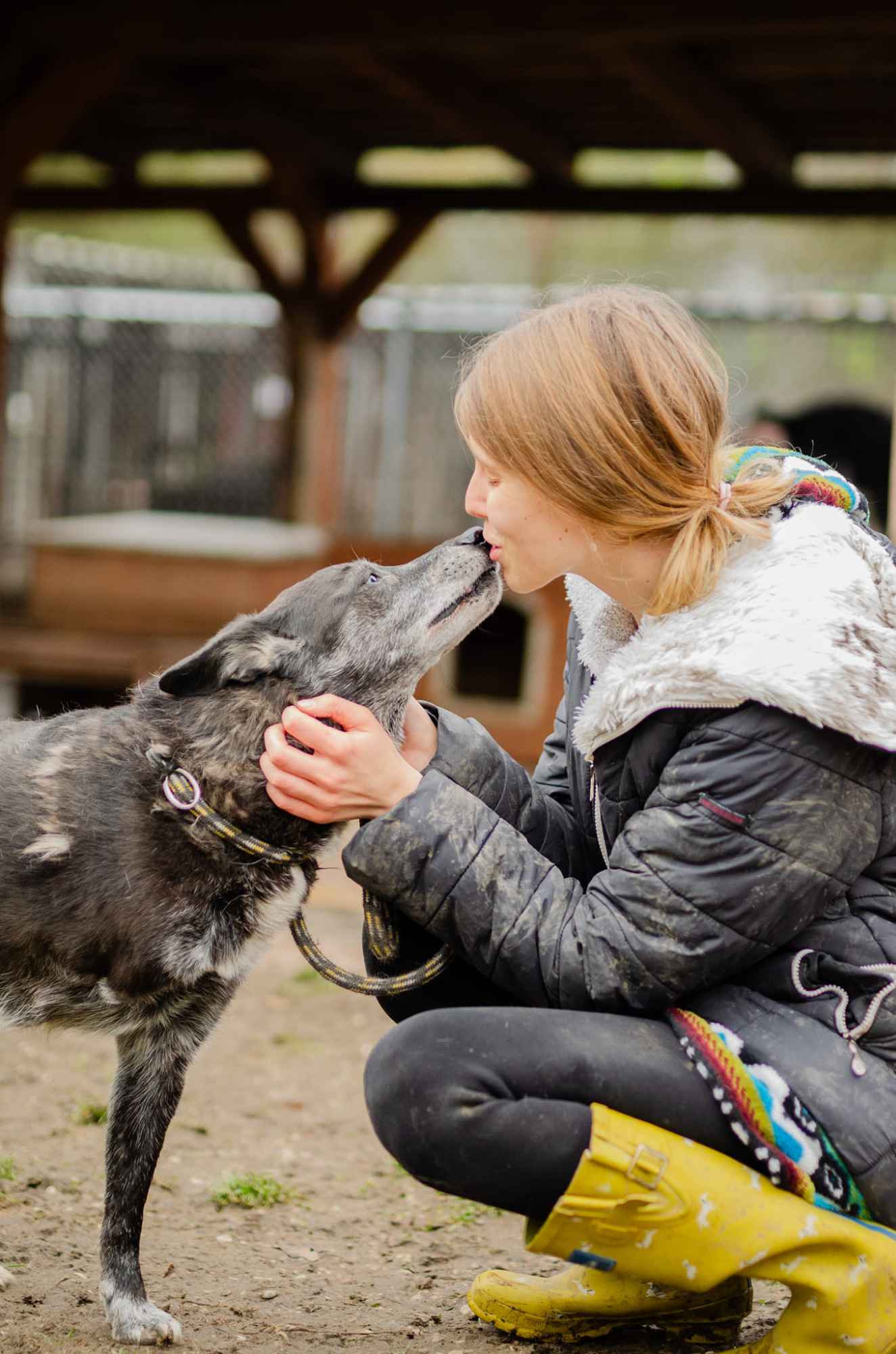 Hektor - dziadeczek wyrwany z piekła, pomocy! Olsztyn - zdjęcie 2