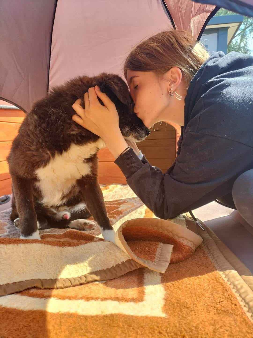 Wania - cudowny, ciepły, kochany psiak! Olsztyn - zdjęcie 2