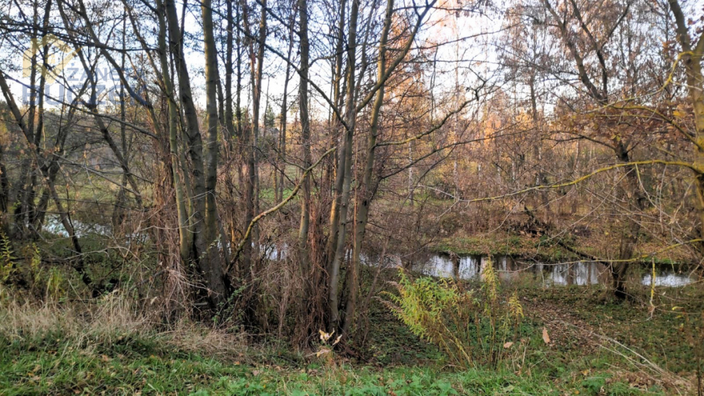 Sprzedam działkę budowlaną w Nowych Mostkach Nowe Mostki - zdjęcie 2