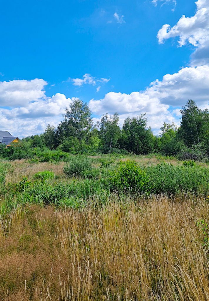 Działka budowlana Grabówka 1228m2 Grabówka - zdjęcie 6