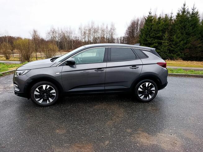 Opel Grandland X 2019r. serwisowany, zadbany. Rzeszów - zdjęcie 6
