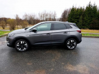Opel Grandland X 2019r. serwisowany, zadbany. Rzeszów - zdjęcie 6