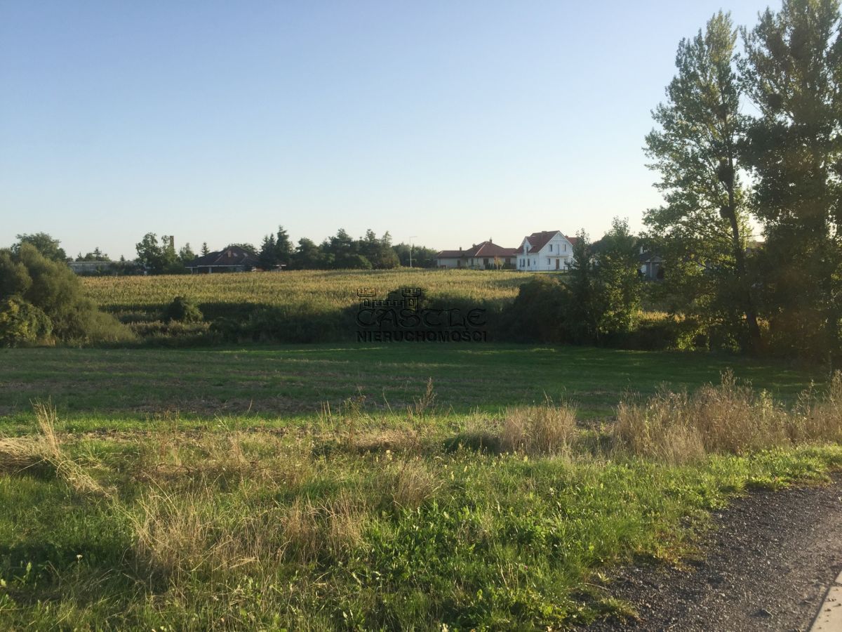 Działka na sprzedaż Golęczewo Golęczewo - zdjęcie 6