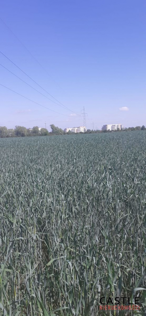 Tylko teraz TAKA CENA. Zalasewo - zdjęcie 2