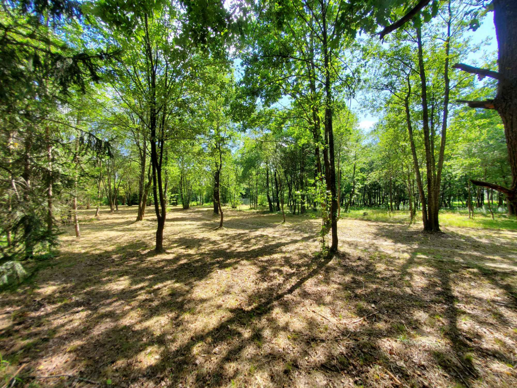 Działka rekreacyjna 30 arów nad rzeką lubaczówka. Czerwona Wola - zdjęcie 2