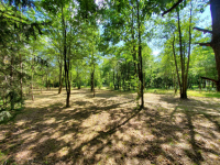 Działka rekreacyjna 30 arów nad rzeką lubaczówka. Czerwona Wola - zdjęcie 2