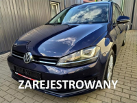 Volkswagen Golf 1.4 TSI  DSG Full Led Navi Radar Hak  Zarejestrowany